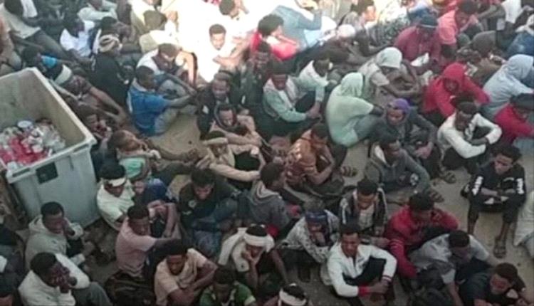 المهرة: ضبط 564 متسللًا إثيوبيًا في ظل تصاعد الهجرة غير الشرعية