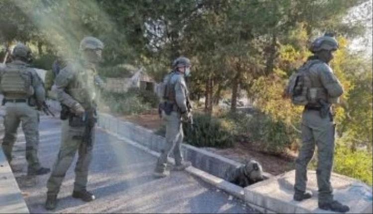 الاحتلال الإسرائيلي يعتقل مالايقل عن 17 فلسطينيا من مدن الضفة