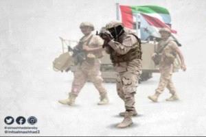 الإمارات والجنوب.. شراكة استراتيجية من ميادين القتال إلى مسارات البناء