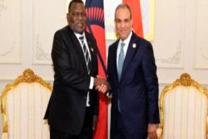مصر ومالاوي تتفقان على تعزيز التعاون الاقتصادي والتنموي والأفريقي