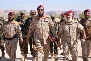 اليافعي يهاجم قيادات سلفية: حماية الثروات أولى أم نصرة المجتمعات؟