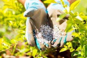 هبوط مفاجئ لأسعار الأسمدة بعد انفراجة مضيق هرمز