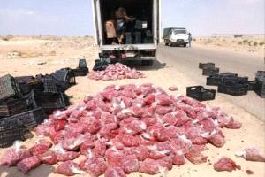 إتلاف نحو 1500 كيلو من الفراولة الفاسدة في المنصورة بعدن 
