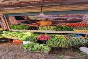 استقرار أسعار الخضروات في الشيخ عثمان وسط تفاوت محدود في بعض الأصناف