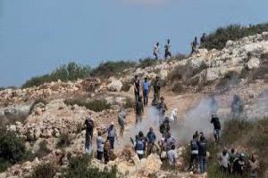 تجريف في نابلس… مستوطنون يشقّون طريقًا يربط بؤرًا استيطانية