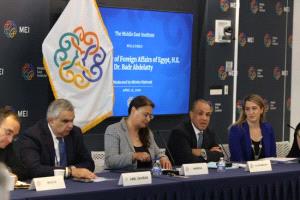 مصر تستعرض موقفها الإقليمي في واشنطن لتعزيز الأمن والاستقرار