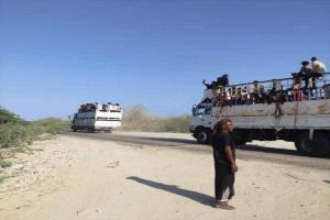 حملة أمنية واسعة في أبين تستهدف شبكات تهريب المهاجرين وسط اشتباكات واعتقالات