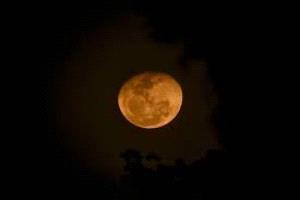 أرتيميس 2 تلامس التاريخ: البشر على أعتاب أبعد نقطة حول القمر