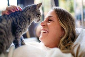 دراسة حديثة: تشابه وراثي كبير يجمع البشر والقطط المنزلية