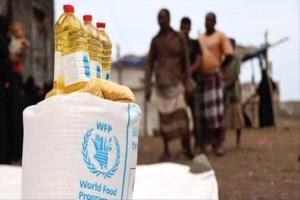 تحذير أممي: 8.6 مليون يمني تلقوا مساعدات في 2025.. والتمويل يتراجع بشكل حاد