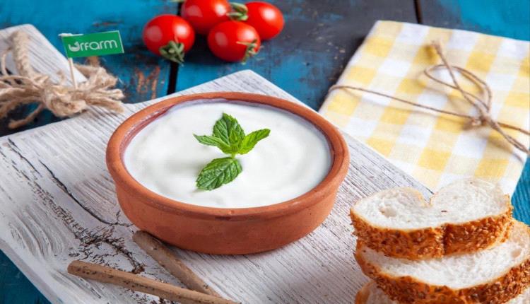 منها الزبادي... 9 أطعمة مخمّرة تدعم صحة الأمعاء