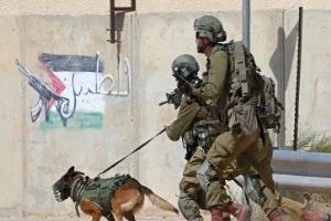 الاحتلال الإسرائيلي يعزز قواته بالضفة إلى 26 كتيبة ويصادر أراضٍ فى البيرة