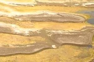 نهر الدانوب يفضح أسرار الحرب.. الجفاف يكشف جثتى جنديين