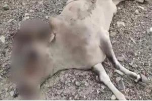 قصف حوثي يطال قرية في مفرق المخا ويدفع سكاناً إلى النزوح