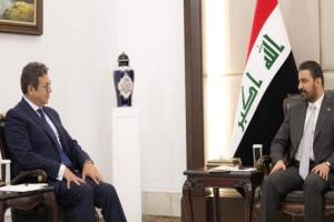 مصر والعراق تبحثان تعزيز التنسيق وتوسيع التعاون المشترك