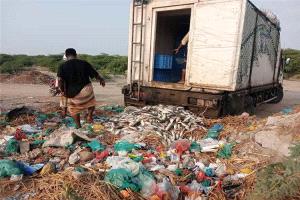 إتلاف نحو 500 كيلو من أسماك الباغة الفاسدة في زنجبار