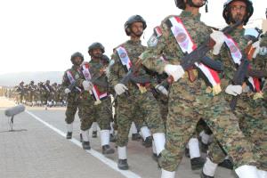 القوات الجنوبية بين خيار الحرب في الشمال وحماية الجنوب