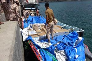 ألوية العمالقة الجنوبية ودورها في تأمين مضيق باب المندب
