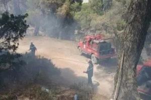 الجيش الجزائري يتدخل جوا وبرا للمساهمة فى إخماد حرائق جيجل والطارف