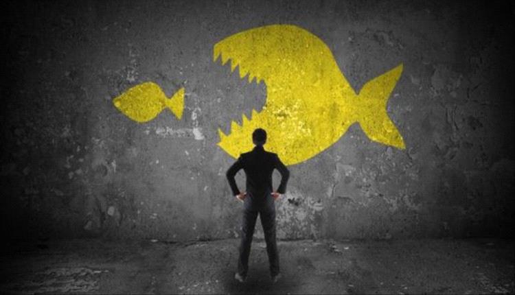 شل: لا حاجة لاستحواذات جديدة مع تغطية الفجوة الإنتاجية