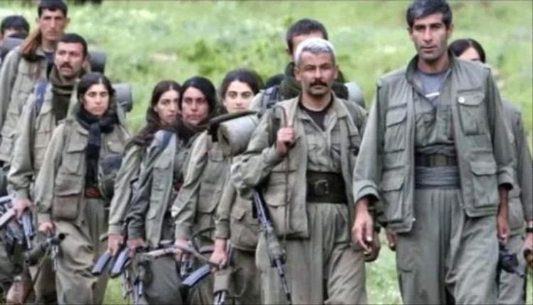 حزب العمال الكردستاني يرحب بموافقة لجنة تركية على خارطة طريق للسلام