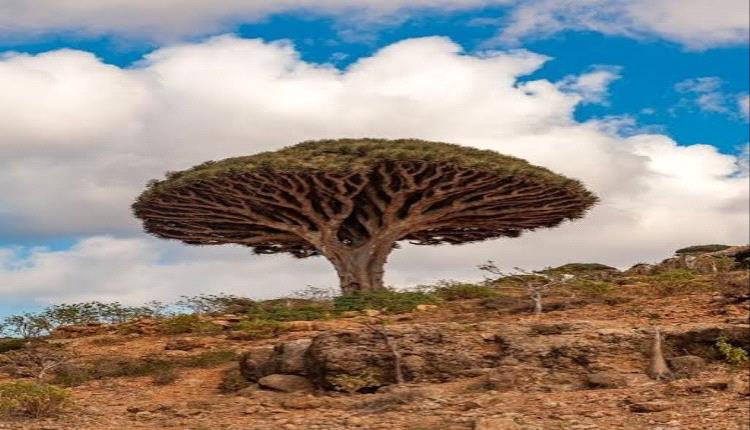 حصحص الحق بين ليلة وضحاهها