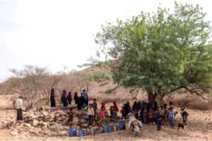 اليمن على حافة الجوع: تحذير أممي من تفاقم أزمة الغذاء