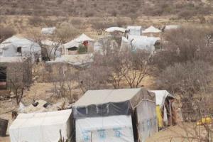 نداء إنساني عاجل لإنقاذ نازحي مودية