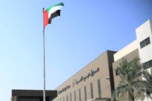 دبي الحرة تسجل مبيعات قياسية في يناير