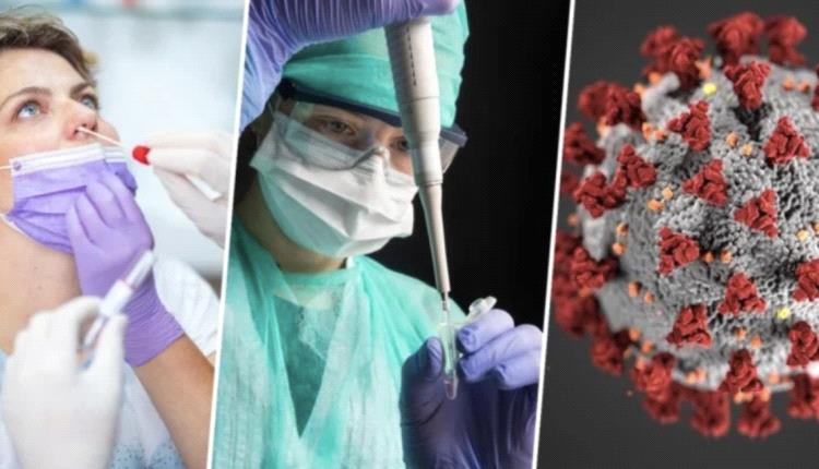 تحذير للمسافرين .. رصد أكثر فيروسات العالم عدوى في مطارين رئيسيين في هذه الدولة