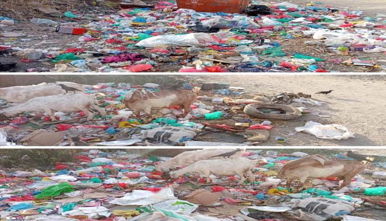 قمامة حي المثلث بخنفر تهدد الصحة وسط إهمال متواصل