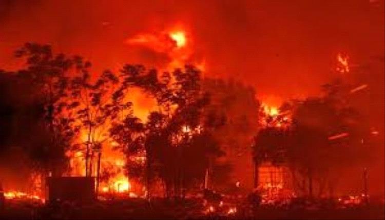 نيران الجنوب تحصد الأرواح: تشيلي تعلن الكارثة وتُجلي الآلاف