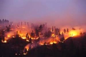 حرائق تشيلي تتوغل: 20 قتيلاً وآلاف المشردين