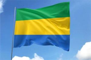 الجابون تبدأ عهد الجمهورية الخامسة بحكومة جديدة