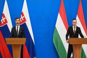 المجر وسلوفاكيا تفتحان جبهة قانونية ضد بروكسل دفاعًا عن أمن الطاقة

