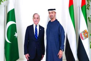 محمد بن زايد وزرداري يبحثان في أبوظبي شراكة اقتصادية أوسع وآفاق تعاون جديدة