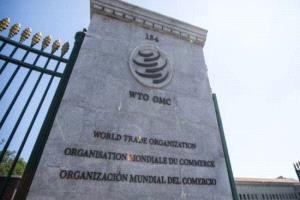 روته يقرّ بعجز أوروبي ويؤكد أن المظلة الأمريكية لا غنى عنها
