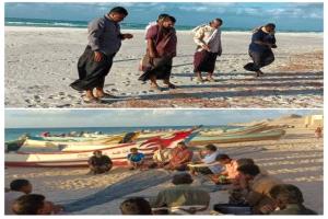 نفوق جماعي للروبيان في محمية دطوح بسقطرى يثير قلق البيئة البحرية