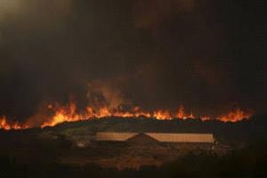 نيران الجنوب تُهجّر الآلاف: تشيلي تعلن الكارثة