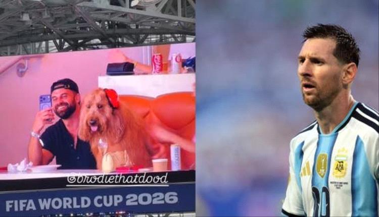 الكلب "برودي" يخطف الأضواء في مونديال 2026 بحضور استثنائي لمتابعة ميسي