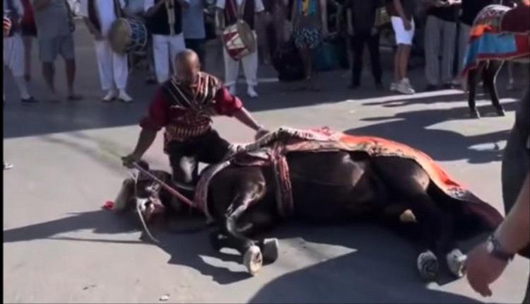 غضب في تونس بعد عرض زفاف مثير للجدل بسبب حصان