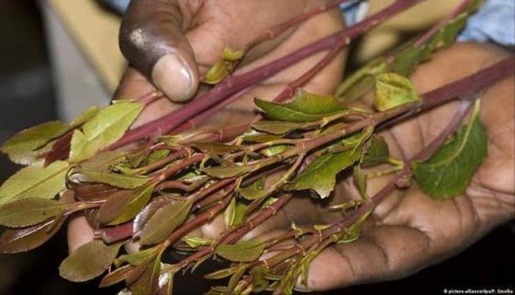 دعوات لتقنين دخول القات إلى عدن.. هل يحد القرار من الأعباء الاقتصادية