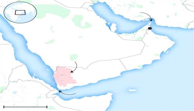 تقرير بريطاني: استراتيجية إيرانية لبسط النفوذ على باب المندب بتنسيق بين الحوثيين وحركة الشباب الصومالية