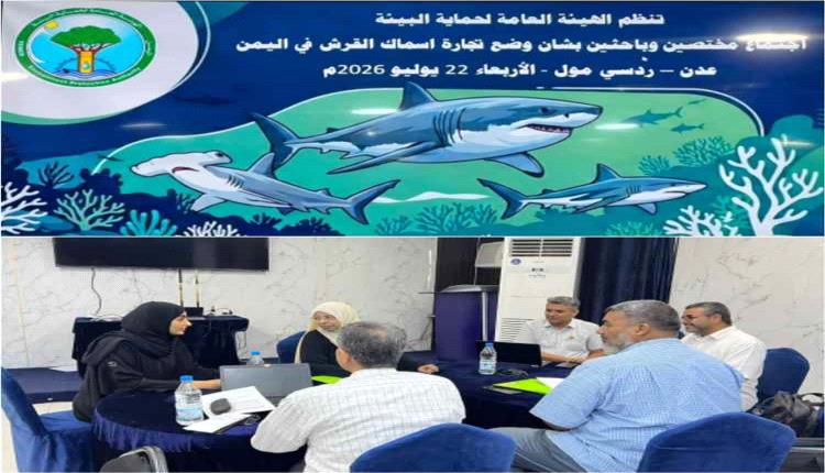 إدارة التنوع الحيوي بالعاصمة عدن تعقد اجتماعاً لحماية أسماك القرش وتقر توصيات لاستدامتها