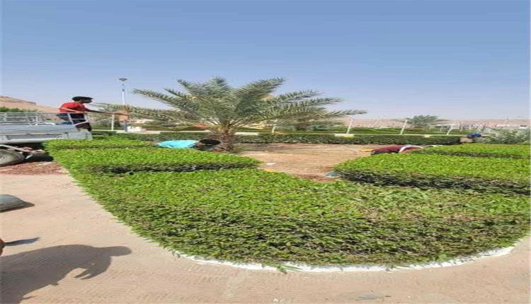 حملة نظافة وتحسين تستهدف جولة الغرف بمديرية تريم