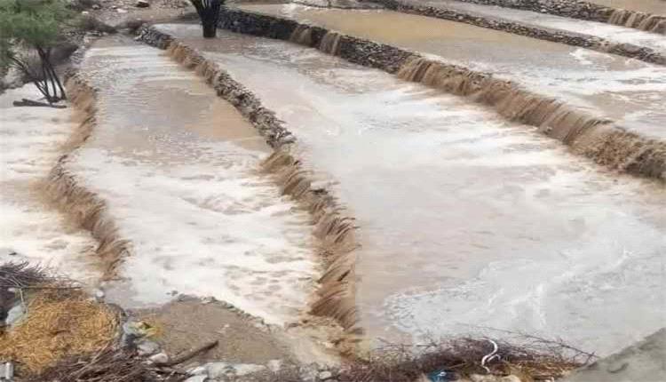 يافع تدعو لإنقاذ المدرجات الزراعية وإعادة دورها في حفظ المياه ودعم الأمن الغذائي