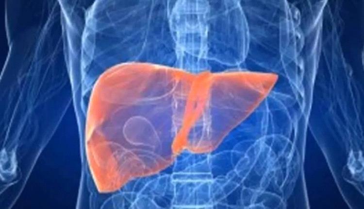 أطعمة تحارب «الكبد الدهني» وتدعم وظائفه