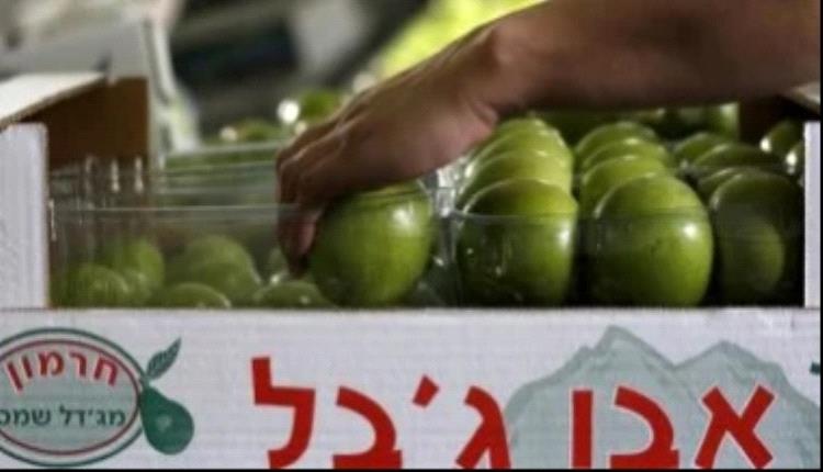 قطر ترحب بحظر أيرلندا استيراد منتجات المستوطنات الإسرائيلية