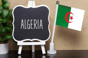 الجزائر تعتمد الإنجليزية لغة أجنبية وحيدة في الثالثة ابتدائي وتؤجل الفرنسية
