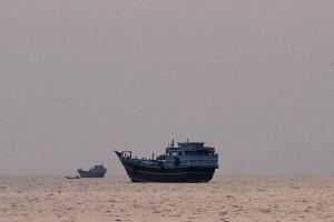 علماء يحذرون: السفن العالقة في هرمز تهدد التنوع البيولوجي عالمياً